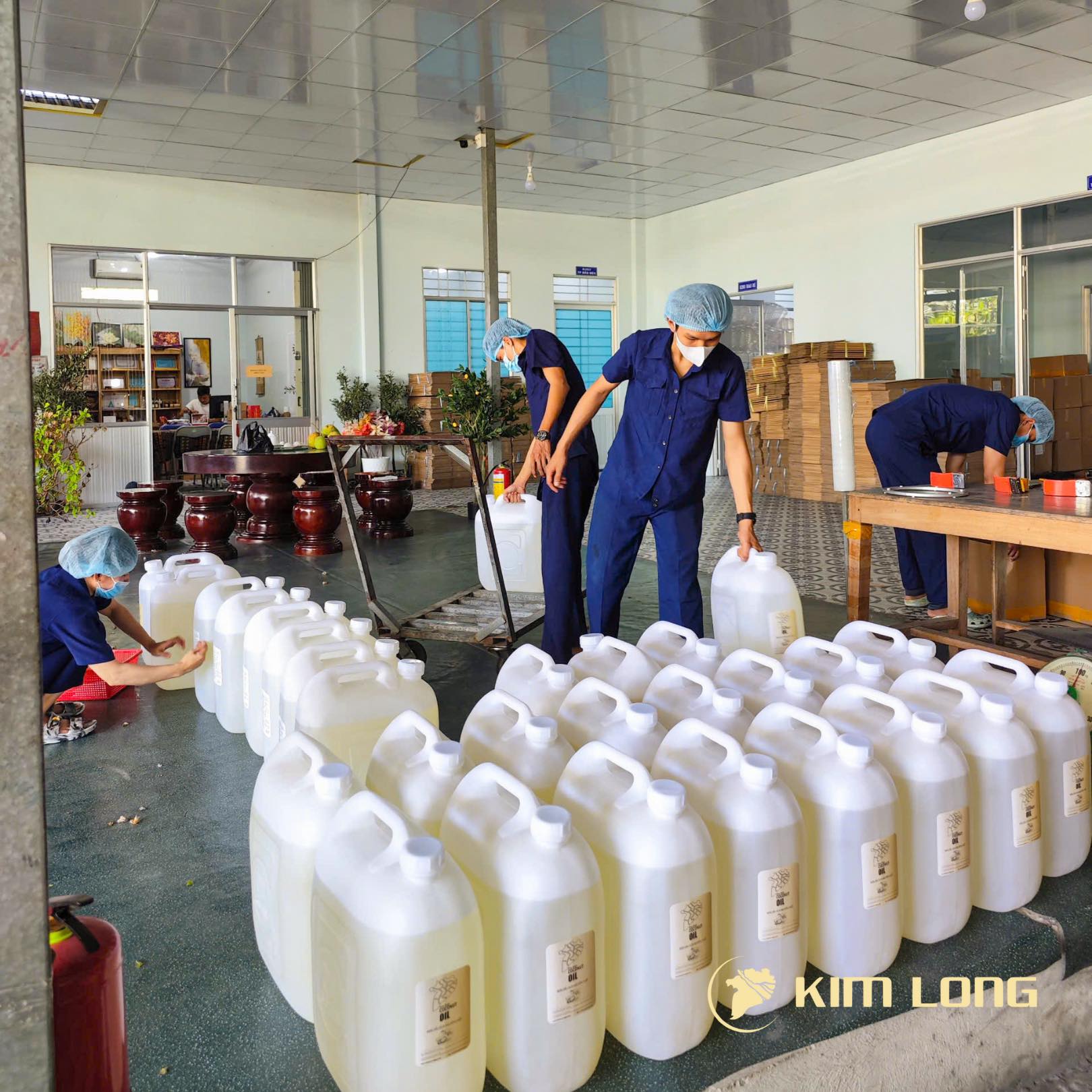 Kim Long – Cung Cấp Dầu Dừa Sỉ & Nguyên Liệu Dầu Dừa Uy Tín