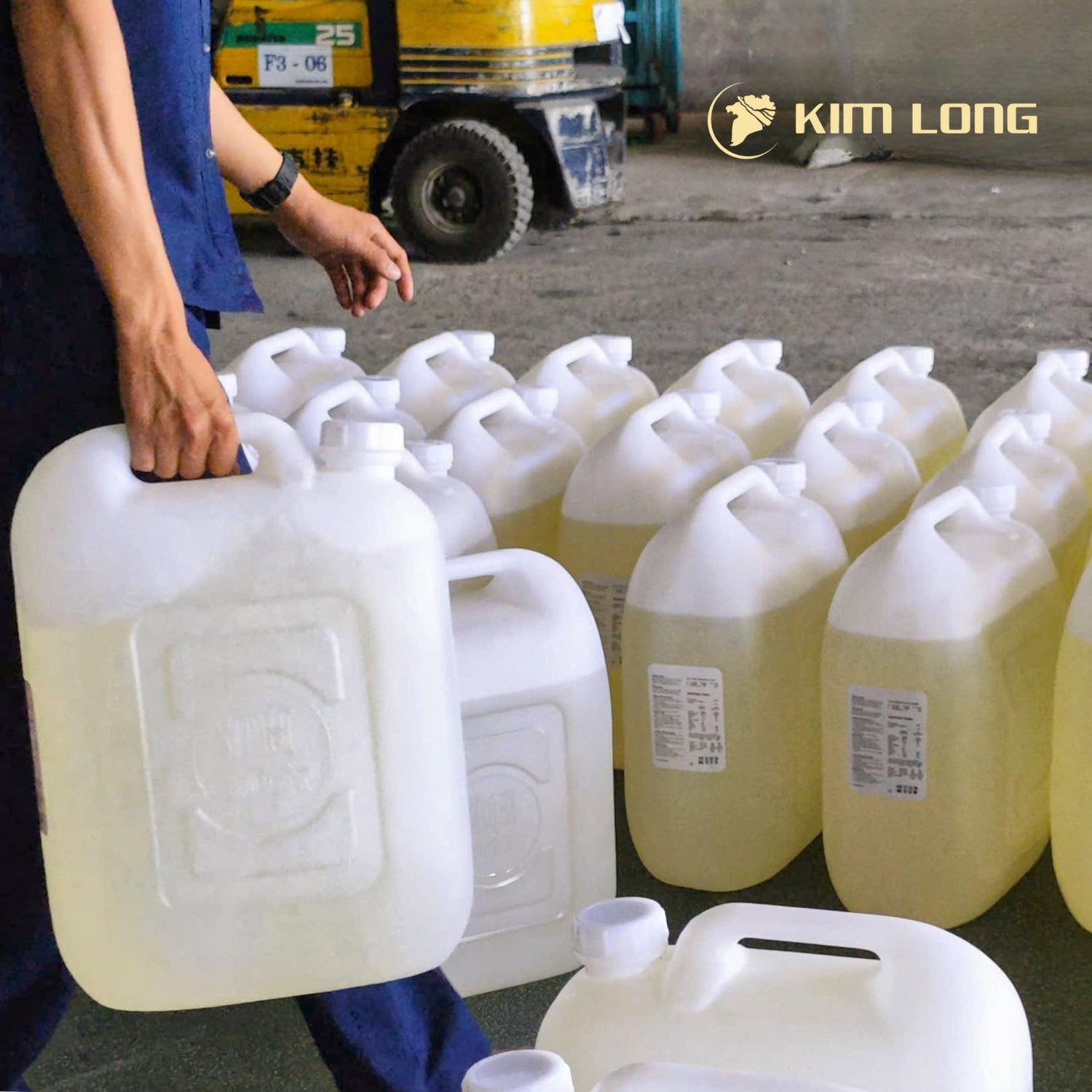 Bán Sỉ Dầu Dừa Ép Lạnh – Nguyên Liệu Tinh Khiết Cho Sản Xuất B2B